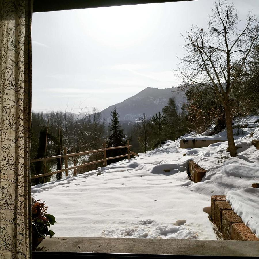 Maset Del Riu Guest House Valderrobres Bagian luar foto