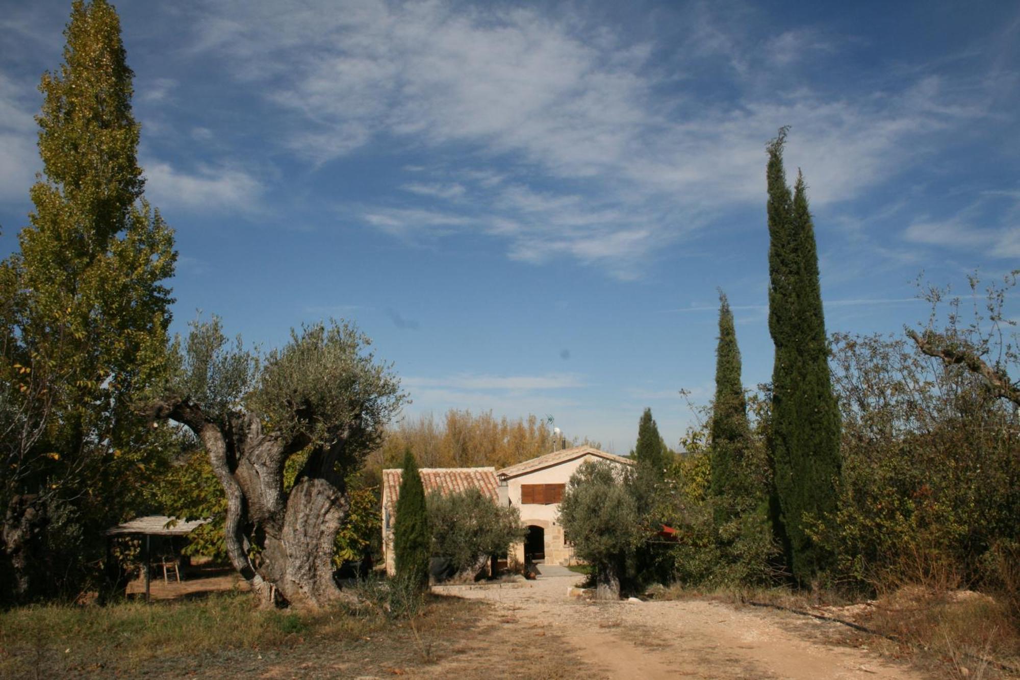 Maset Del Riu Guest House Valderrobres Bagian luar foto