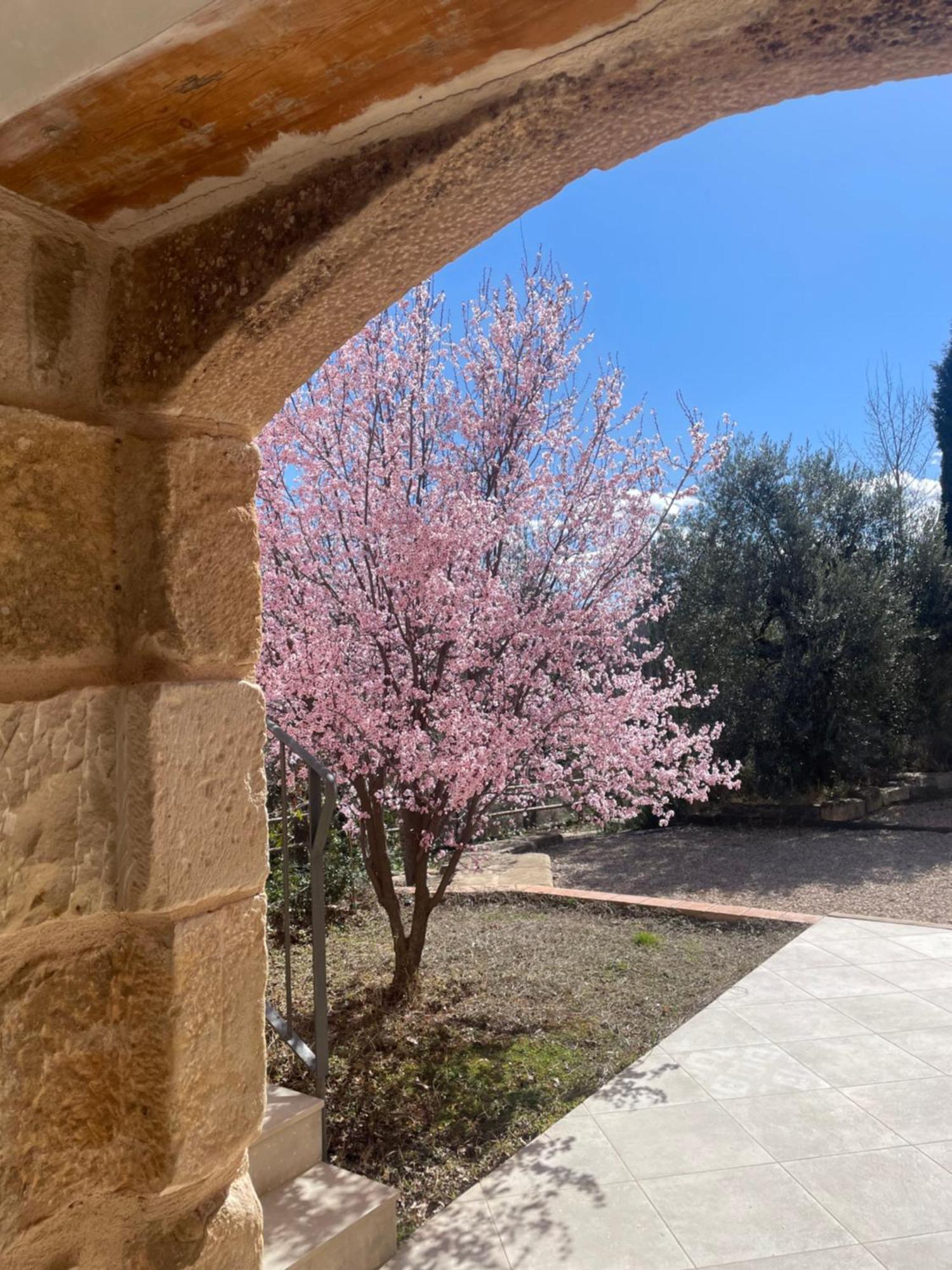 Maset Del Riu Guest House Valderrobres Bagian luar foto